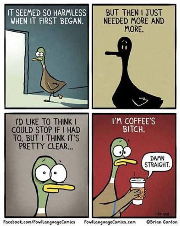 theagingsub:  Hi, my name is The Aging Sub, and I’m coffee’s bitch. It’s been