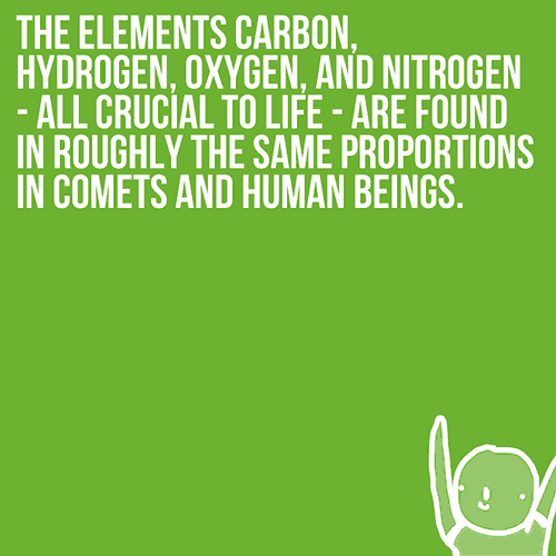 The Elements Carbon, Hydrogen, Oxygen, And Nitrogen - All Crucial To Life - Are Found In Roughly The