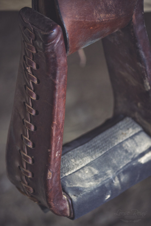 Saddle detail.