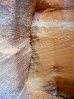 rivermusic: Whispering Rocks Cross-bedded sandstone, Colorado National Monument  photo by rivermusic, April 2009 