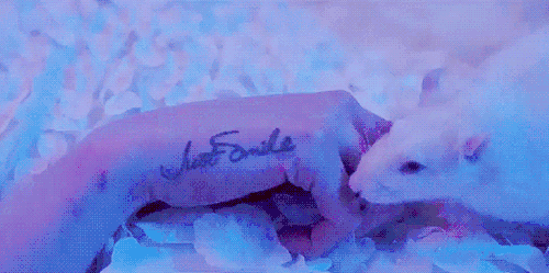 adore-delano: #27club #comingsoon
