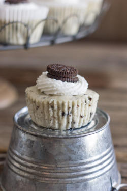 do-not-touch-my-food:  Oreo Cheesecake Cups