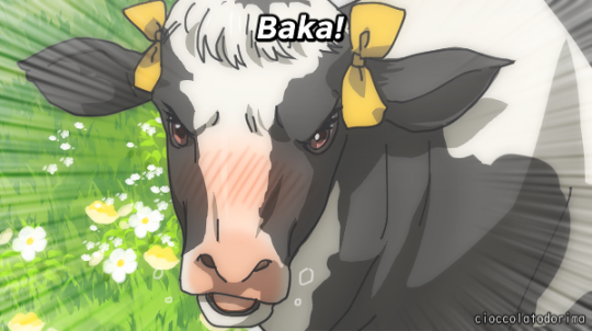 whodoyousay:corillion:  whodoyousay:  rainbow-taishi:  TSUN-DAIRY   this is double funny when you know filipino   Do explain!    in the tagalog dialect of filipino, “baka” means “cow”. lmfao