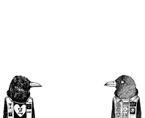 anastasialavdaniti:  birdy meets birdy Collaboration / left birdy me©  right birdy Amy Hamdan