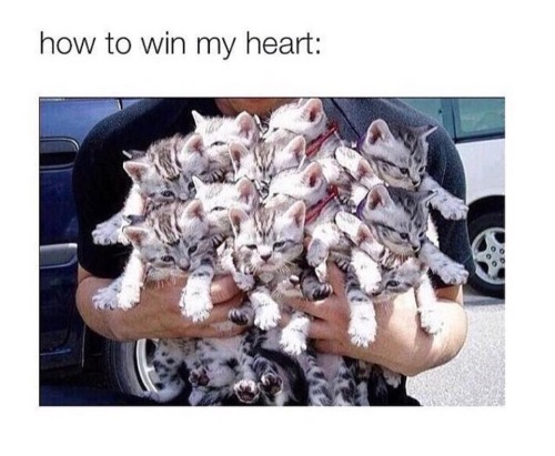 amberrcat13:  True.