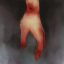 gore-vette