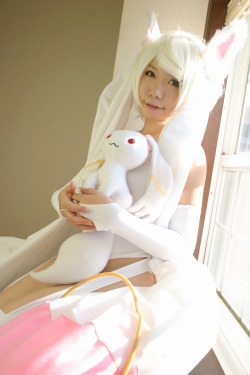 Puella Magi Madoka Magica - kyubey (Higurashi