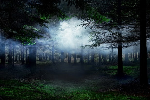 asylum-art:  Ellie Davies lives in London and works in the woods and forests  of