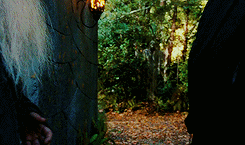 vanhoytls:  lotr meme: ten scenes → [1/10] “the depature of the fellowship”
