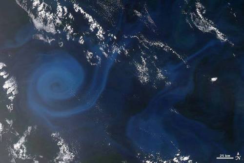 Plankton spiral off AustraliaA large eddy swirling through the southeastern Indian Ocean is revealed