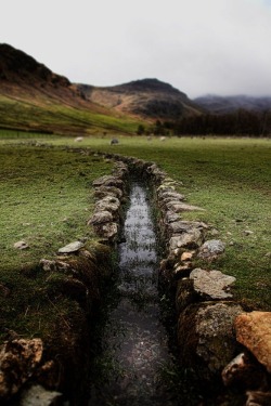 whitenoten:      Lake District, UK  For