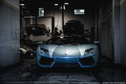 automotivated:  Lamborghini Aventador Roadster