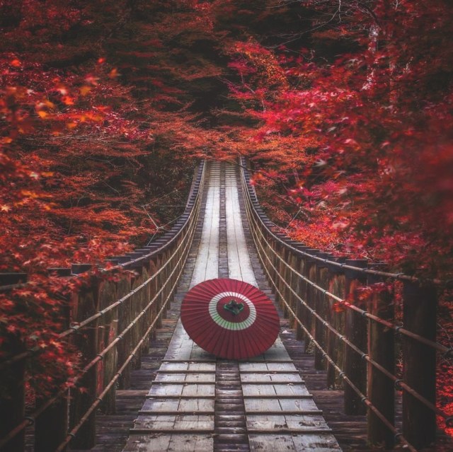 samma-sambodhi:— EXISTENCE FROM THE BUDDHIST PERSPECTIVE — (pt.3) .When we come