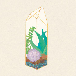 sweetmans:terrarium collection all together