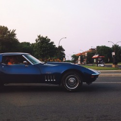 emilio888:  Stingray | © 2014 Emil Habouri