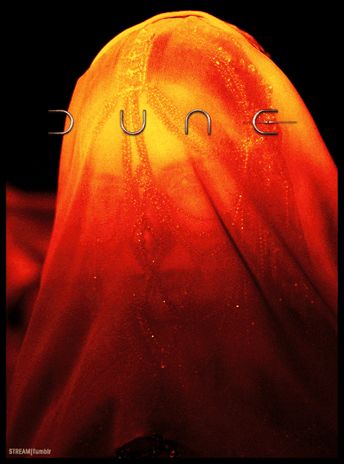 stream: DUNE (2020) dir. Denis Villeneuve  Motion Poster #5