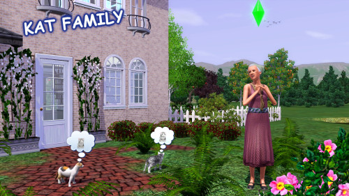 grandelama:*** WELCOME BACK TO SIMSVILLE ! ***                       * + * + * + * + * + * + * + * +