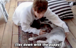 Jimins Love For Animals 