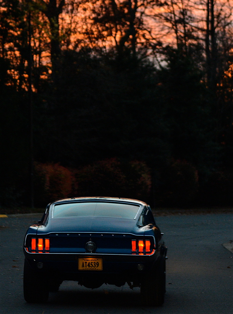 Ford Mustangs