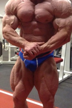 Muscleaddictza:  Ronny Rockel