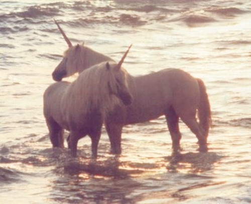 hippiesispunkz:  x 