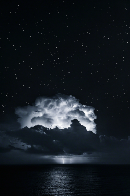 tulipnight:  Stars Over Lightning by Robert Raia