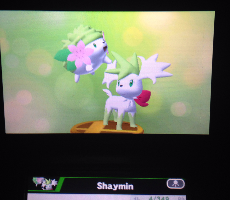 kiyotakamine:  why is sky forme shaymin on the ground but land forme shaymin hovering