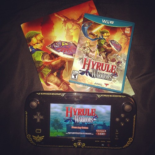 Just incase anyone&rsquo;s wondering, this is actually super fun. #hyrulewarriors #hyrule #warri