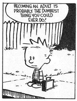 calvinandhobbesvstheworld:  -Bill Watterson