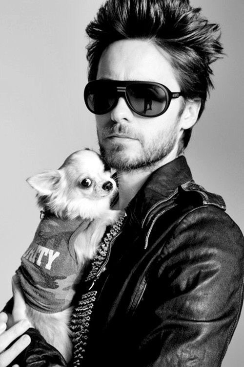 juliascheller:    Men &amp; Dogs  