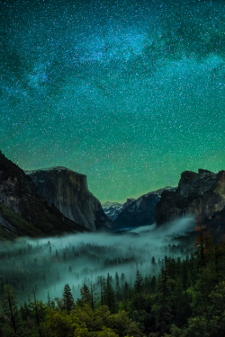 tulipnight:  The Starry Valley by YFphotography