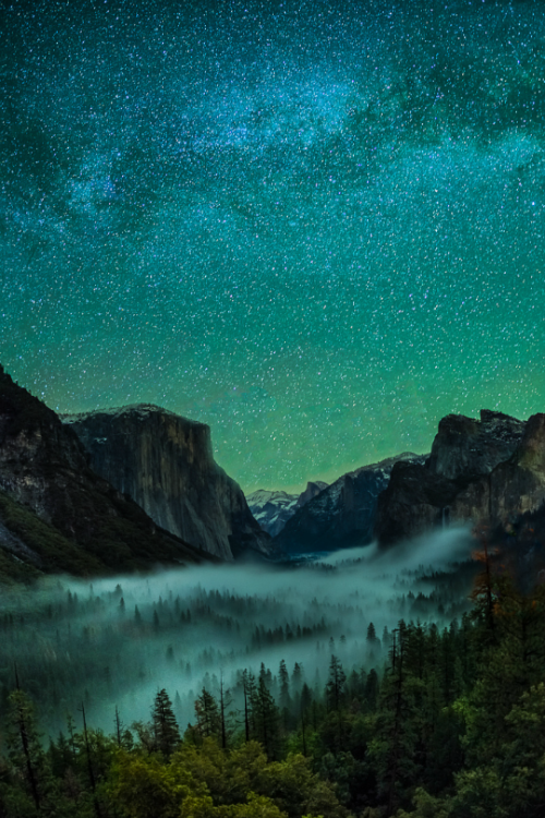 Sex tulipnight:  The Starry Valley by YFphotography pictures