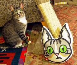 Awwww-Cute:  This Cat Looks Exactly Like The Pillow Her Foster Mom Found, Made By