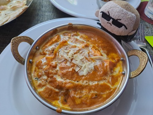 Having Some Indian Food With Albert
