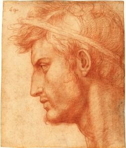 Andrea del Sarto, Study for the Head of Julius