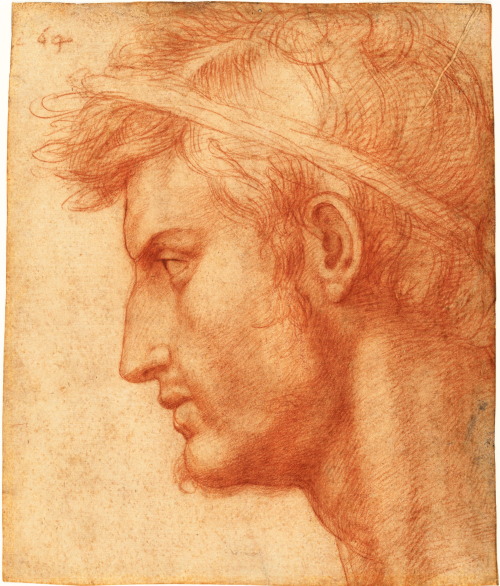 necspenecmetu:Andrea del Sarto, Study for the Head of Julius Caesar, c. 1520-1