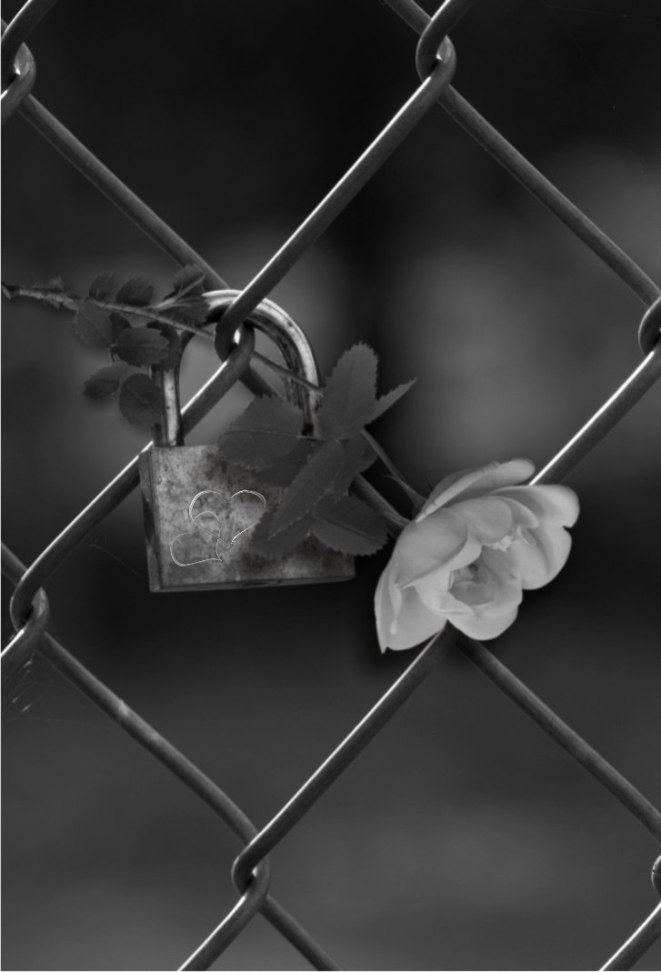 NON SI PUÒ INCIDERE UNA ROSA .. MORIREBBE.. NON POSSO DIMENTICARE IL TUO CUORE &hellip;NE