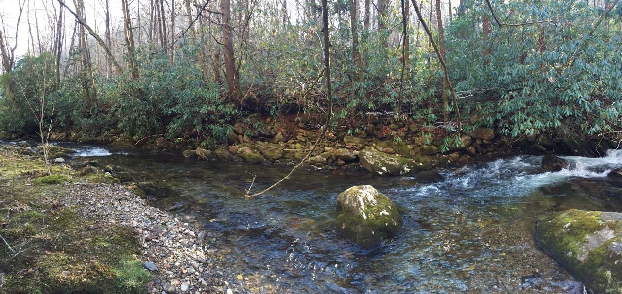 naked-yogi:  Taken in various locations throughout the Appalachian Mountains.  Look