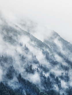 4nimalparty:  Ascend (by nicholasdyee)