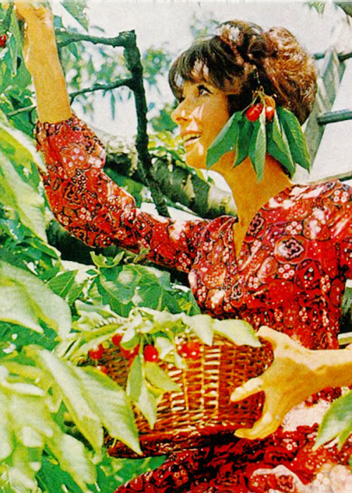 rareaudreyhepburn:  Audrey Hepburn May 4, 1929 - Jan 20, 1993  “To plant a garden is to believe in tomorrow.” - Audrey Hepburn 