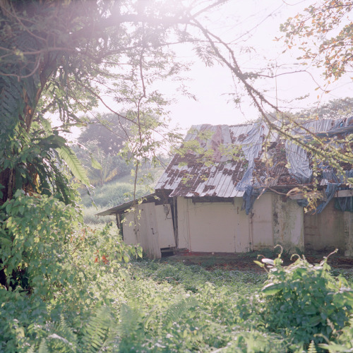 likeafieldmouse: Nguan - Selections from the series How Loneliness Goes