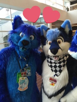 Fursuitpursuits:  Rt @Anthrosim: Fursuit Friday With @Lifrin547  At @Anthrocon 2016!!!