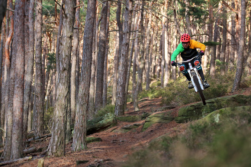 einerundesache: Trailhunter.de, Neustadt an der Weinstraße, Germany.