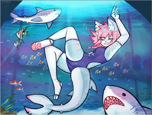 puffyrin:Shark aquarium!   🦈  