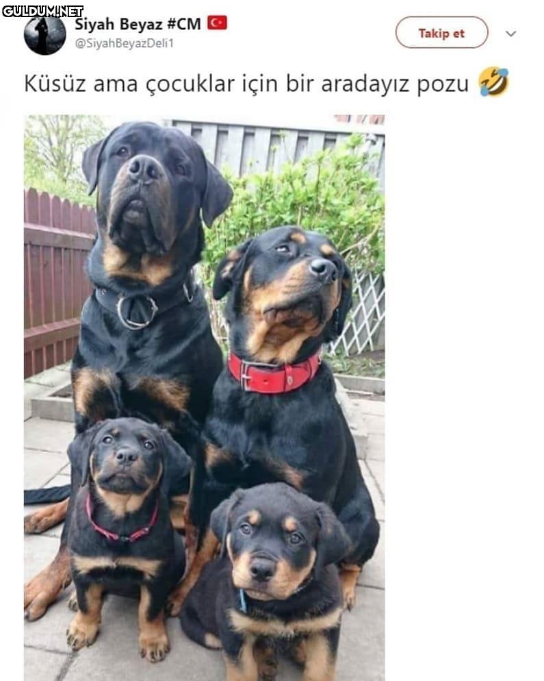 Siyah Beyaz...