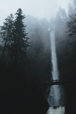 envyavenue:  Foggy Multnomah by Nick Carnera