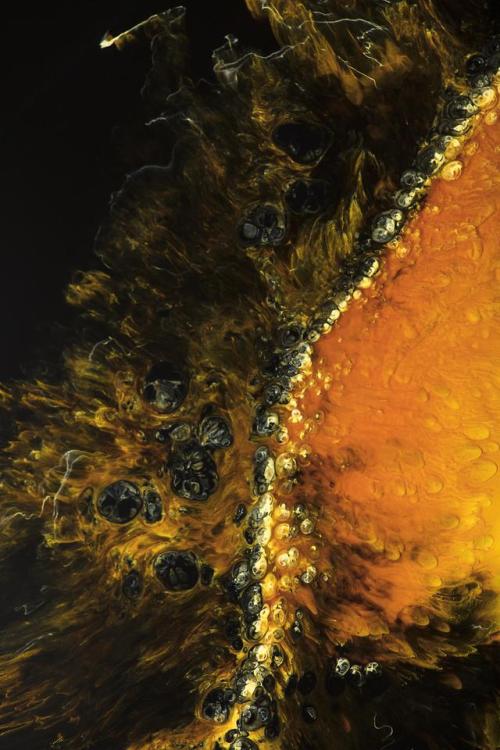 The Petri Dish Project - Individuation (series) / By J.D Doria / Photography Shaw Gadi Raz /  S