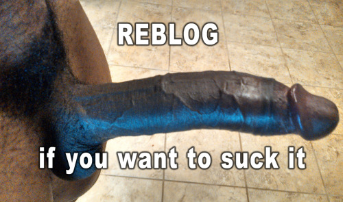 jadecd666: iowawhite4blackkings: fagforarabians:Oh yes !!!  ..and bend over for it , too, SIR Oh my 