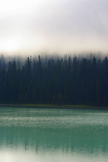 pokec0re:  Emerald Lake Mist by Chris &amp; Lara Pawluk on Flickr.