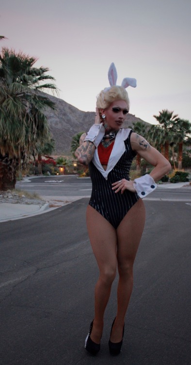 Bunny Business Shot by Natalie Corona Palm Springs Ca 4/16/15